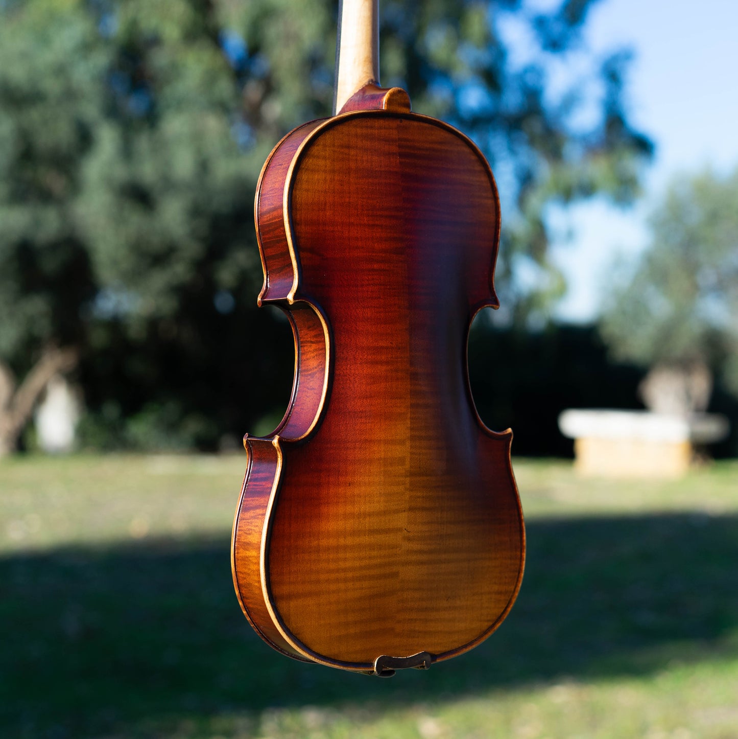 Violín de iniciación