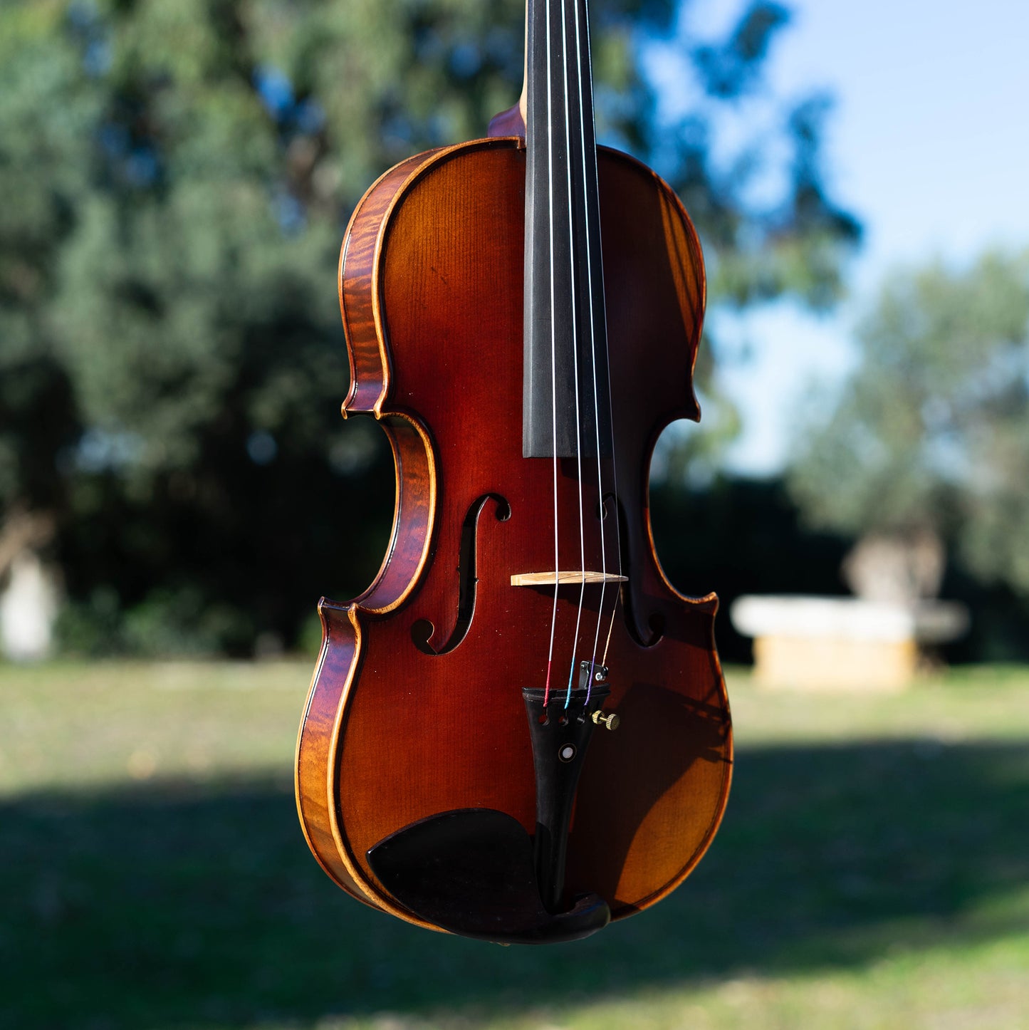 Violín de iniciación