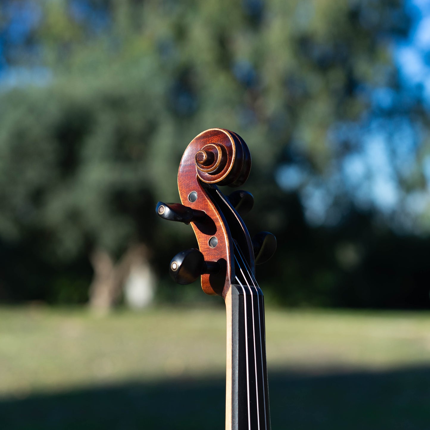 Violín de iniciación
