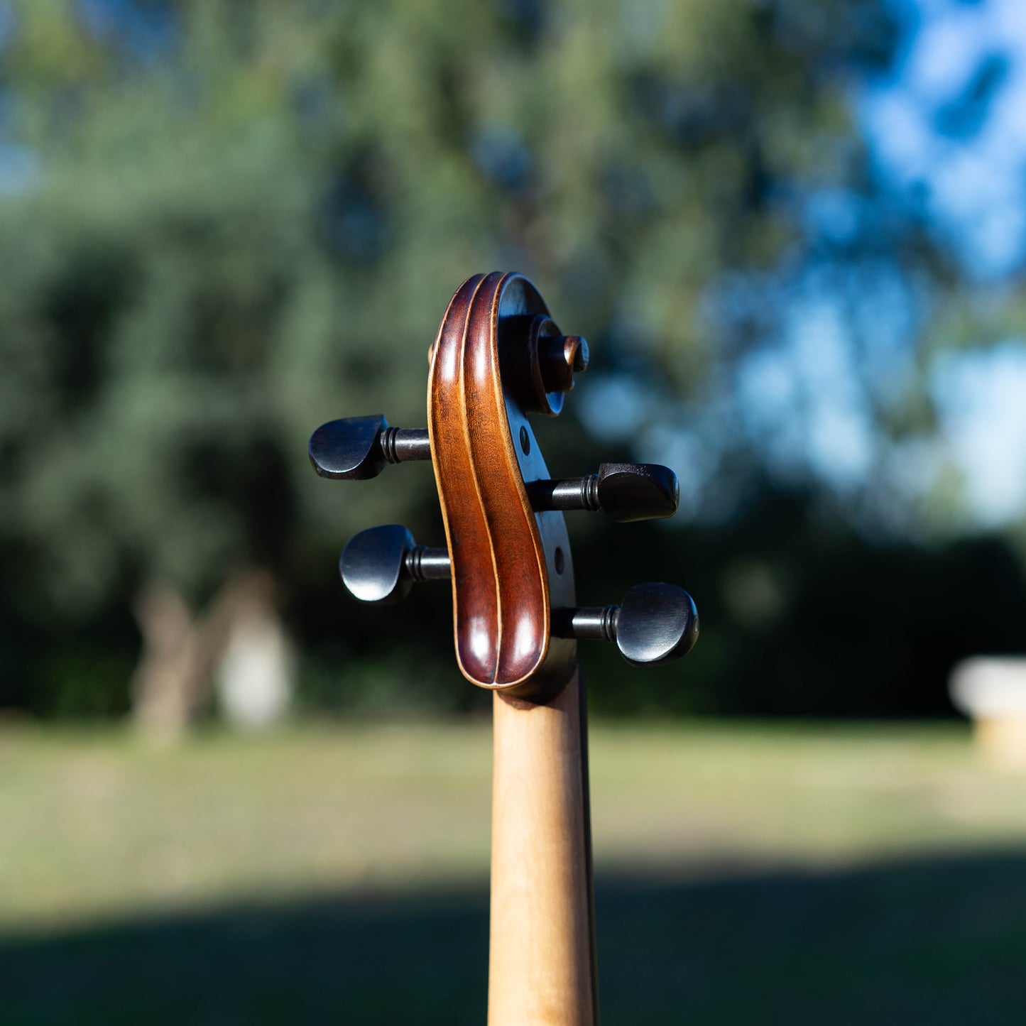 Violín de iniciación