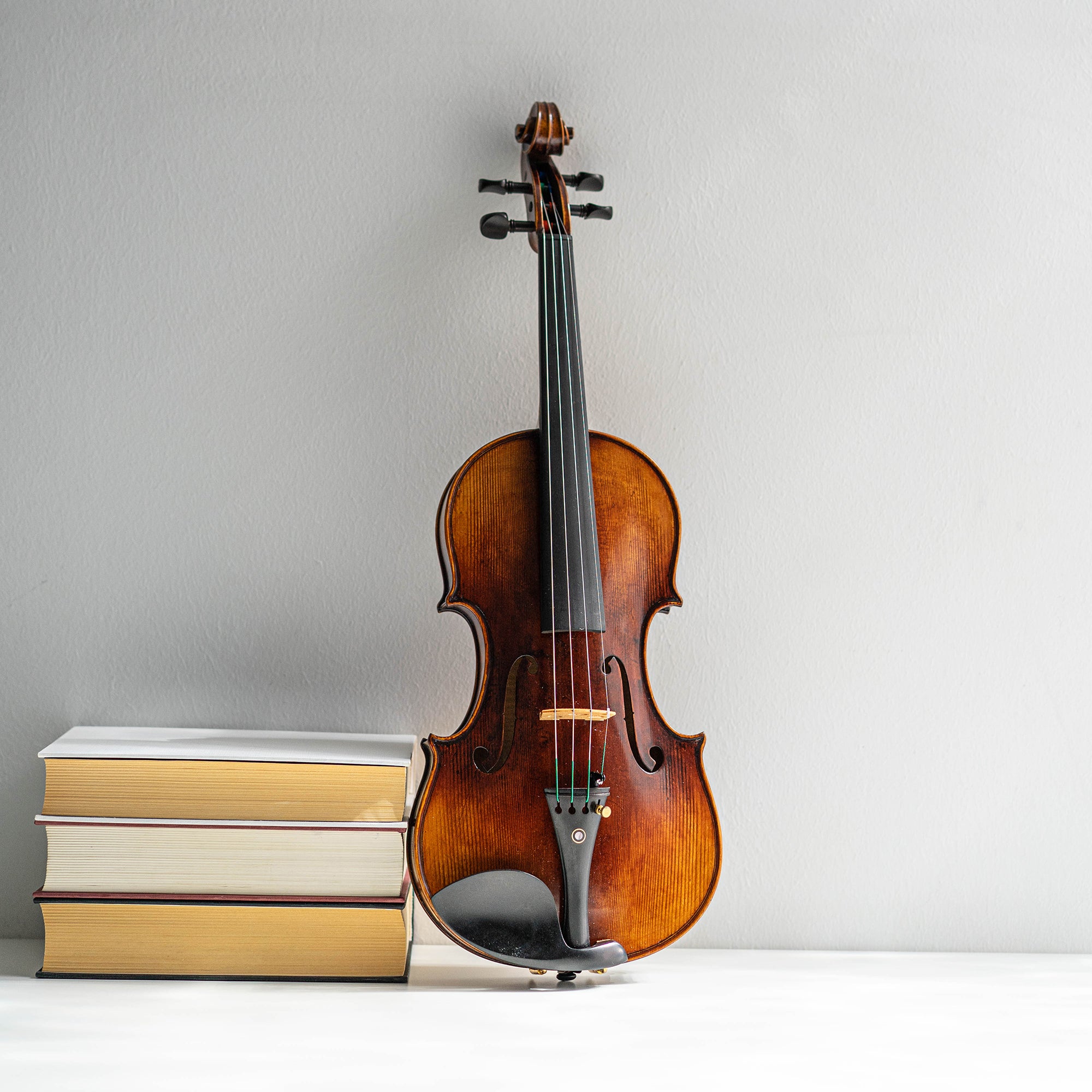 Violín Mod. Guarneri Il Cannone