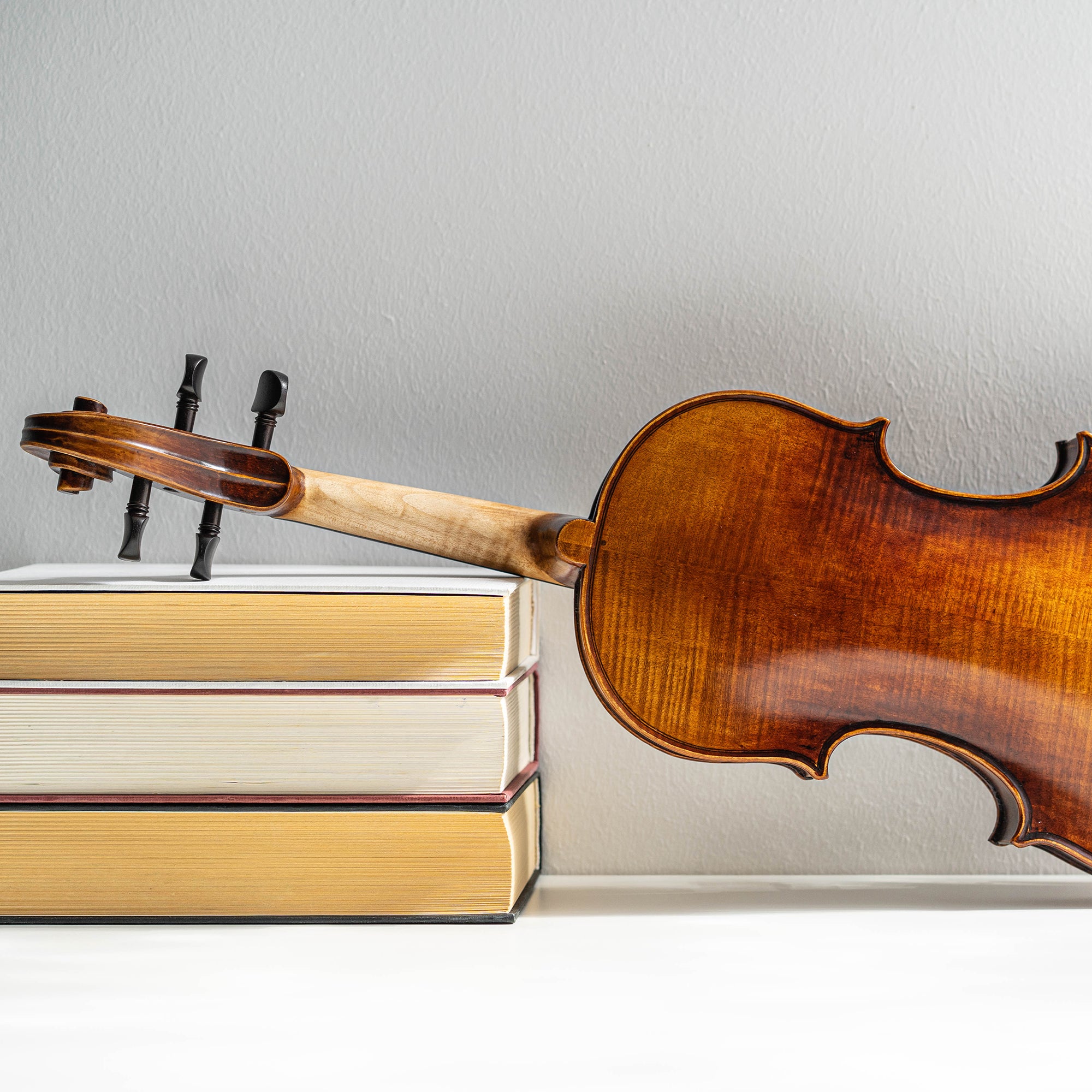 Violín Mod. Guarneri Il Cannone