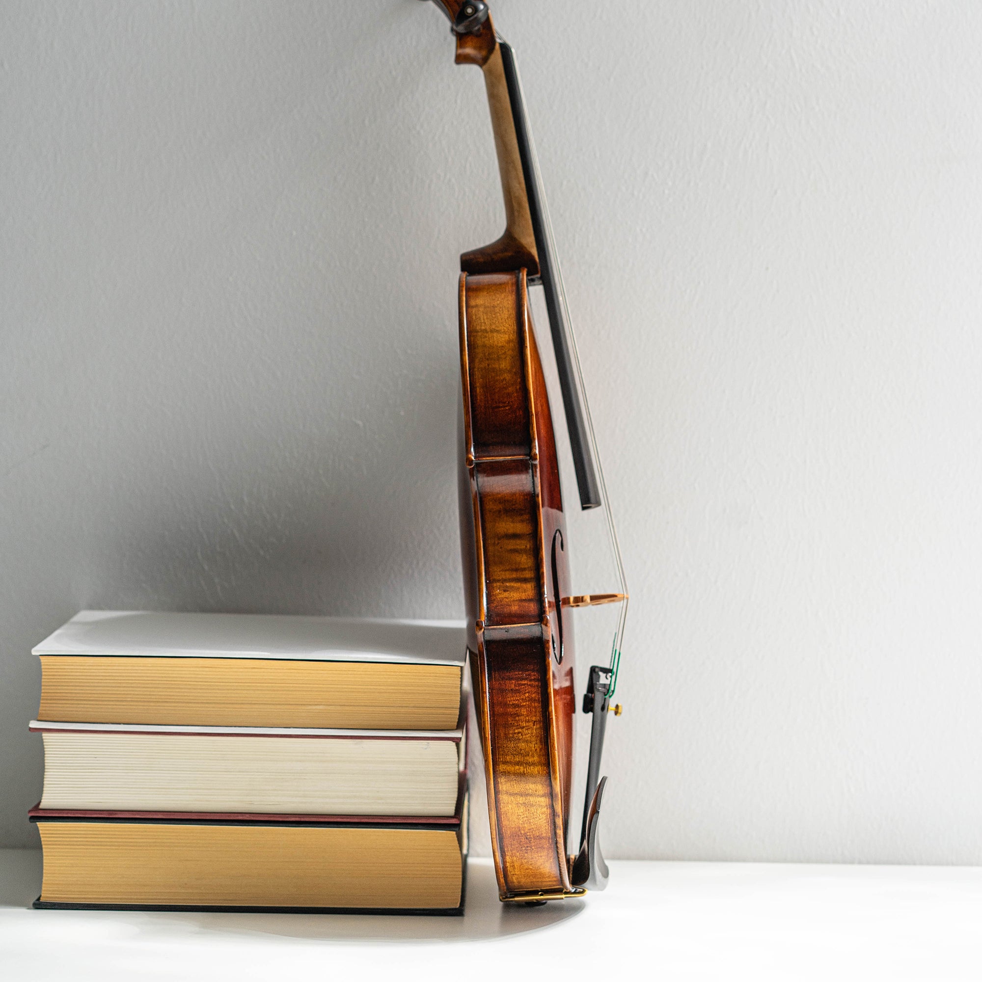 Violín Mod. Guarneri Il Cannone