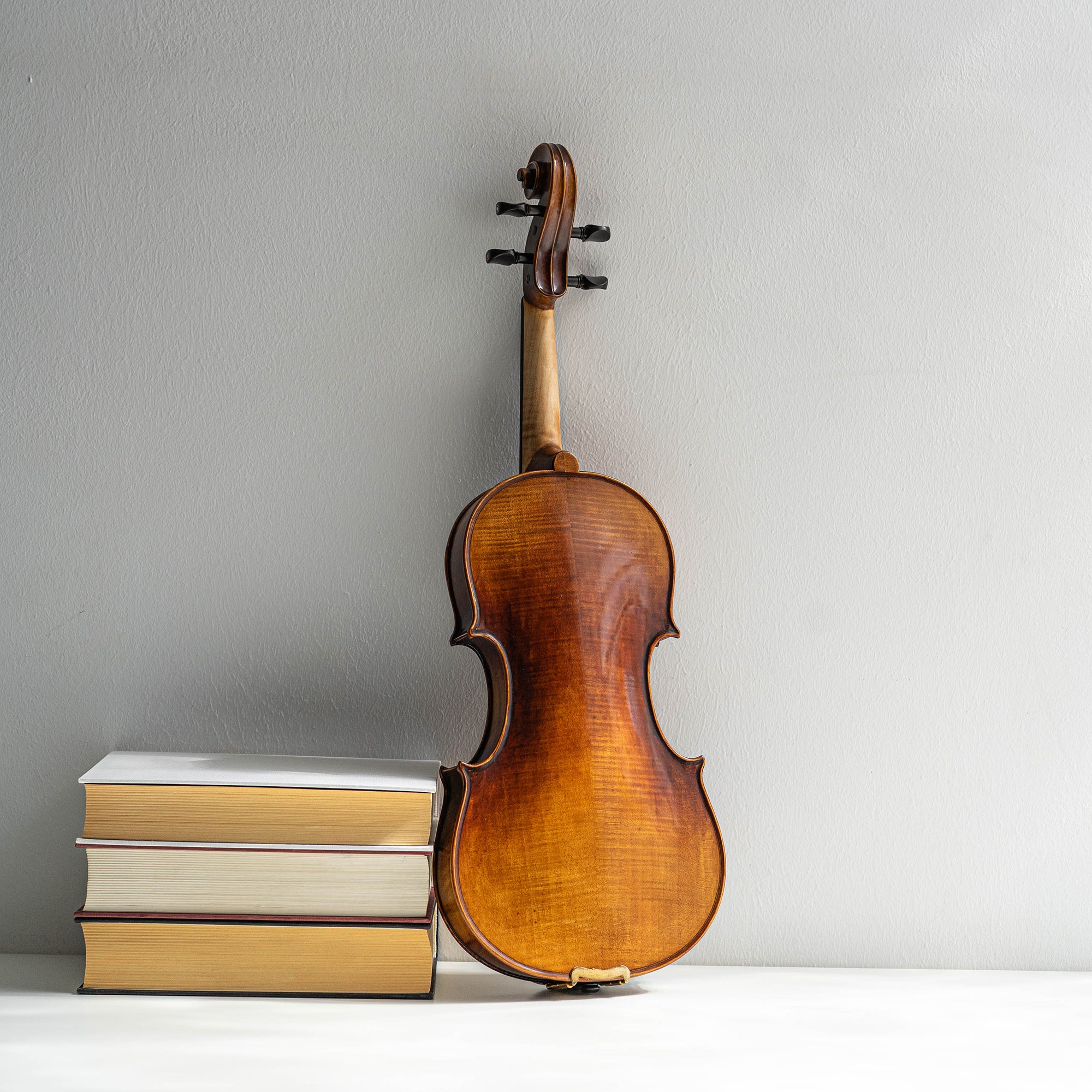 Violín Mod. Guarneri Il Cannone