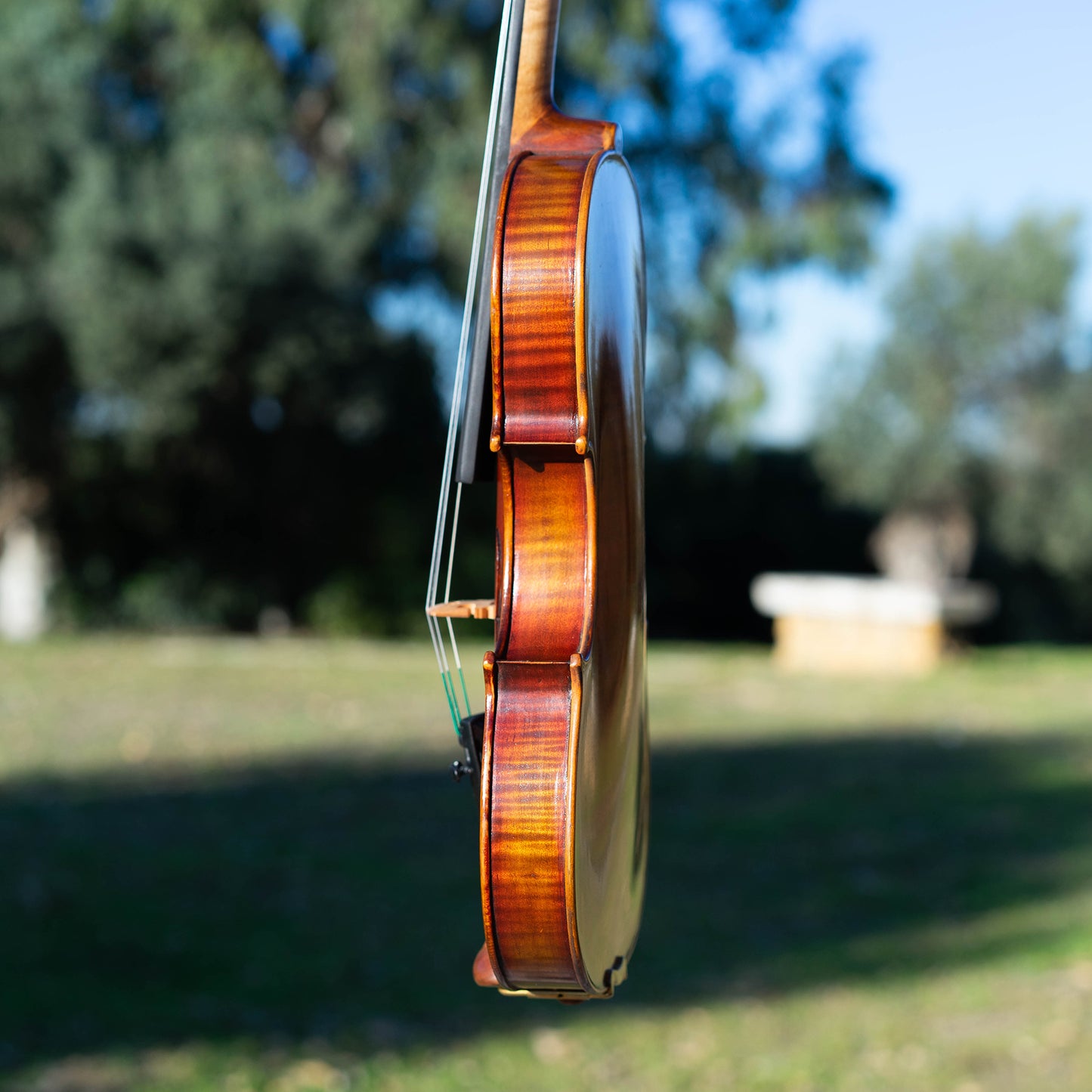 Violín Mod. Stradivari Mrs. Kruse / disponible