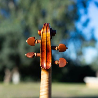 Violín Mod. Stradivari Mrs. Kruse / disponible