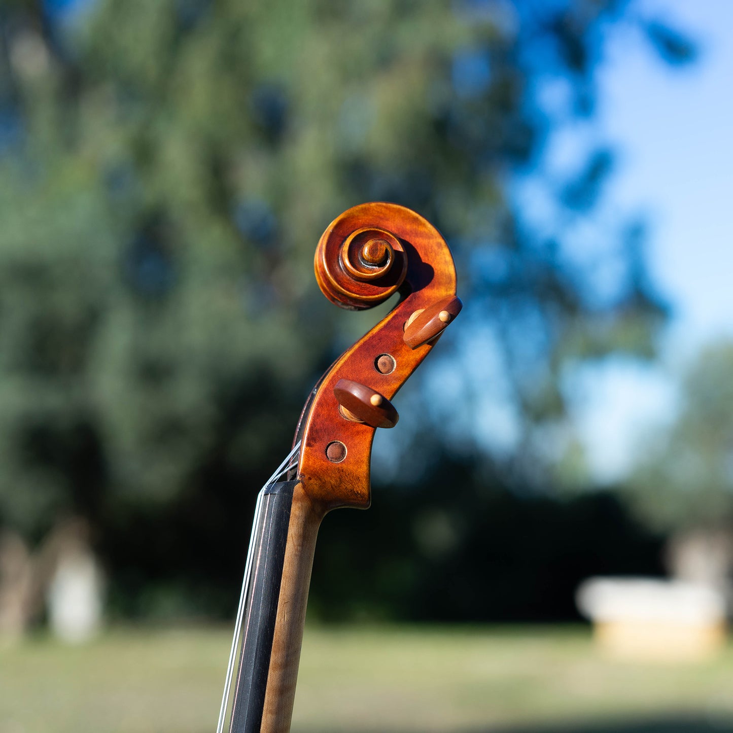 Violín Mod. Stradivari Mrs. Kruse / disponible