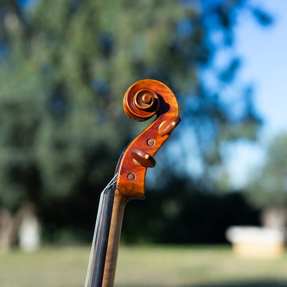 Violín Mod. Stradivari Mrs. Kruse / disponible