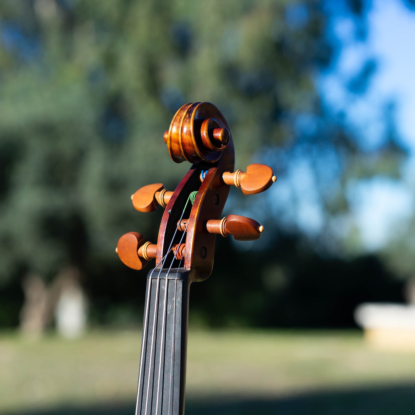 Violín Mod. Stradivari Mrs. Kruse / disponible